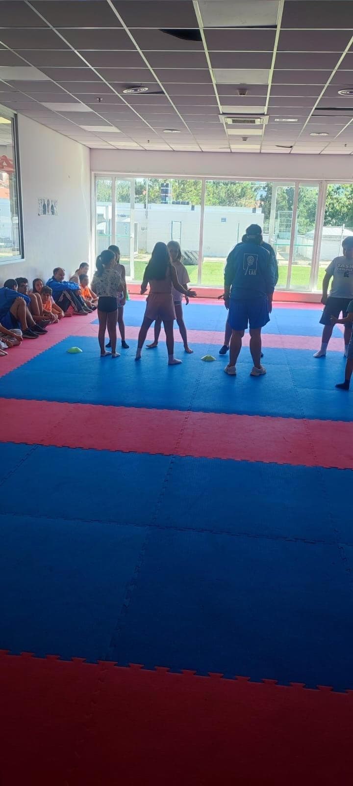 Campamento de Verano de Kenpo - GOL AL ESTIGMA - Imagen 3