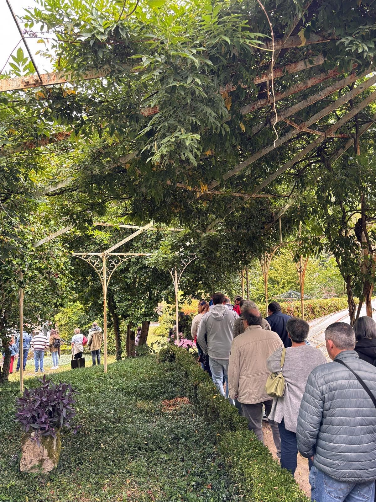 Programa +Convivencia "PONTE A LECER" - Asociación LAR Pro Salud Mental - Imagen 2